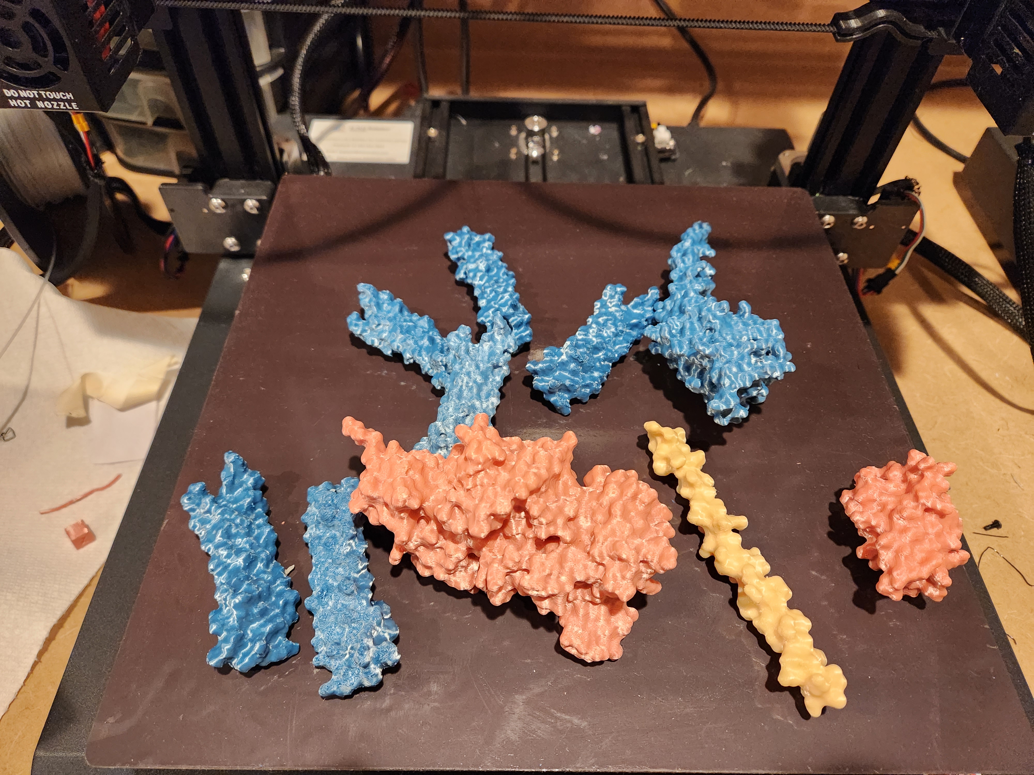 Derivation of ATP Synthase 3D Protein Structure