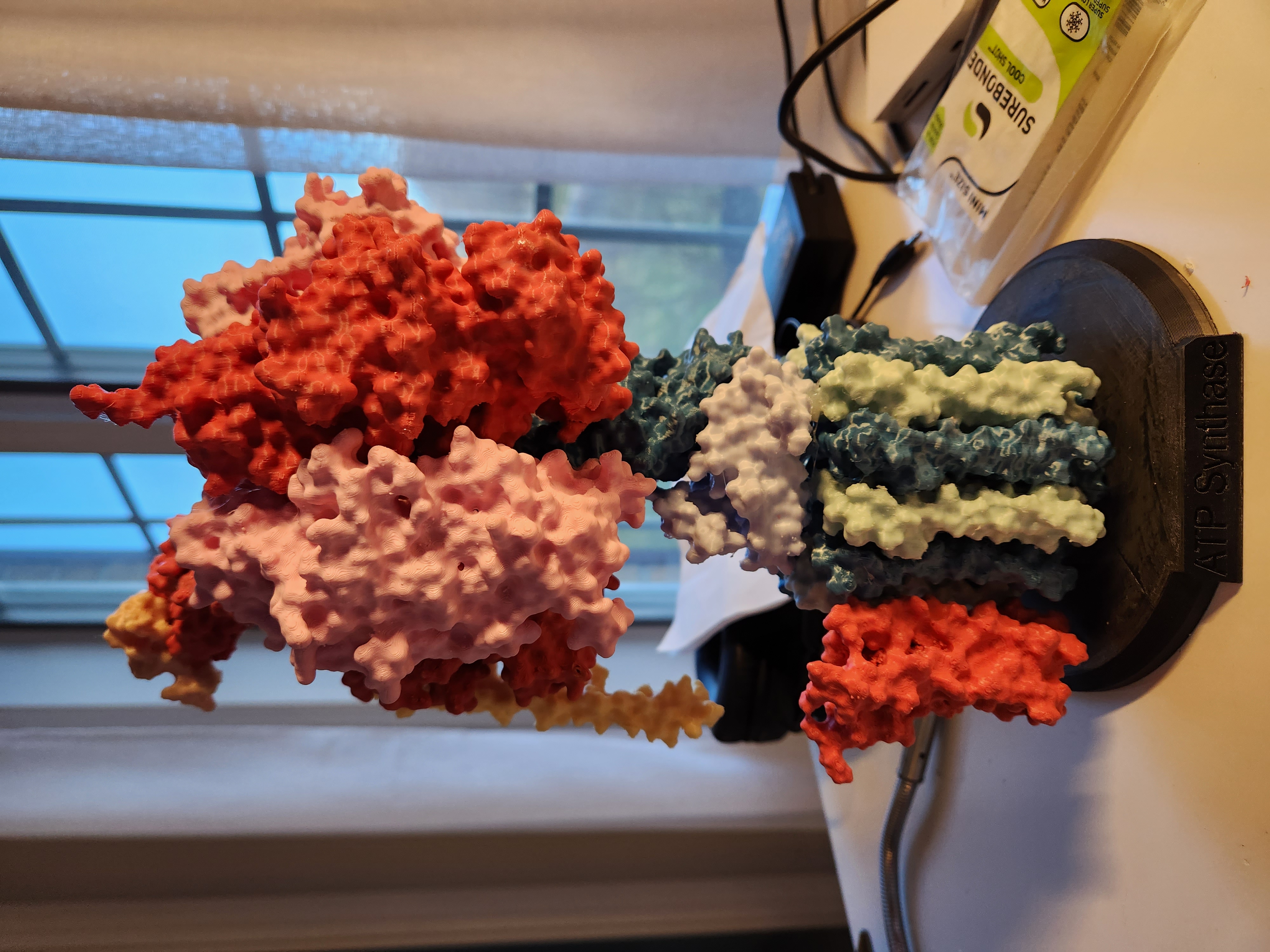Derivation of ATP Synthase 3D Protein Structure